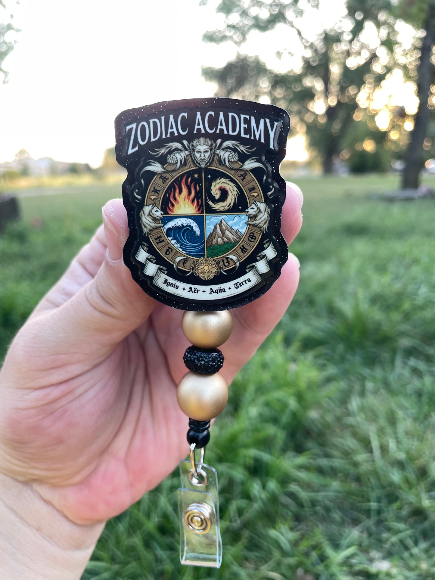 Zodiac Academy